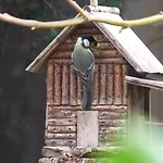 Le Chalet Des Fanieres